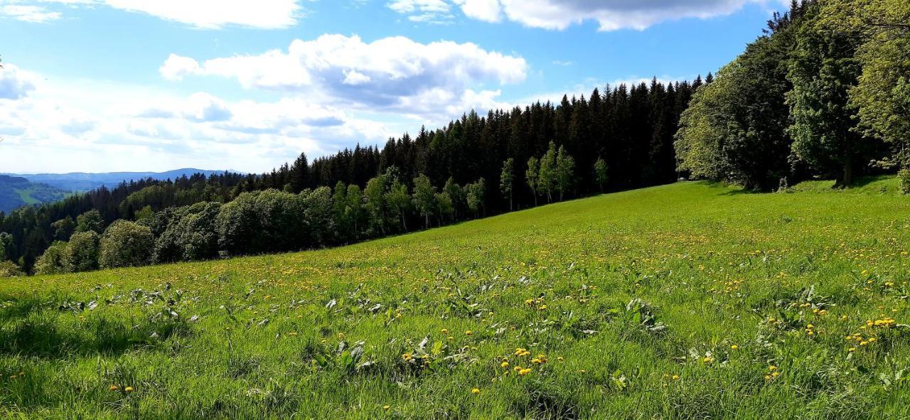 Apartmán Apartmán HYGGE Bratrouchov Jablonec nad Jizerou Exteriér fotografie