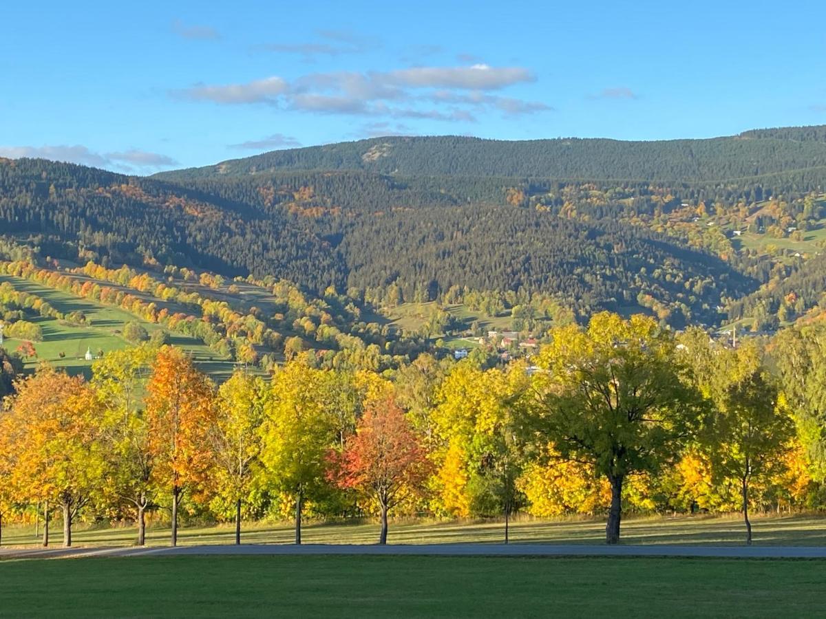 Apartmán Apartmán HYGGE Bratrouchov Jablonec nad Jizerou Exteriér fotografie