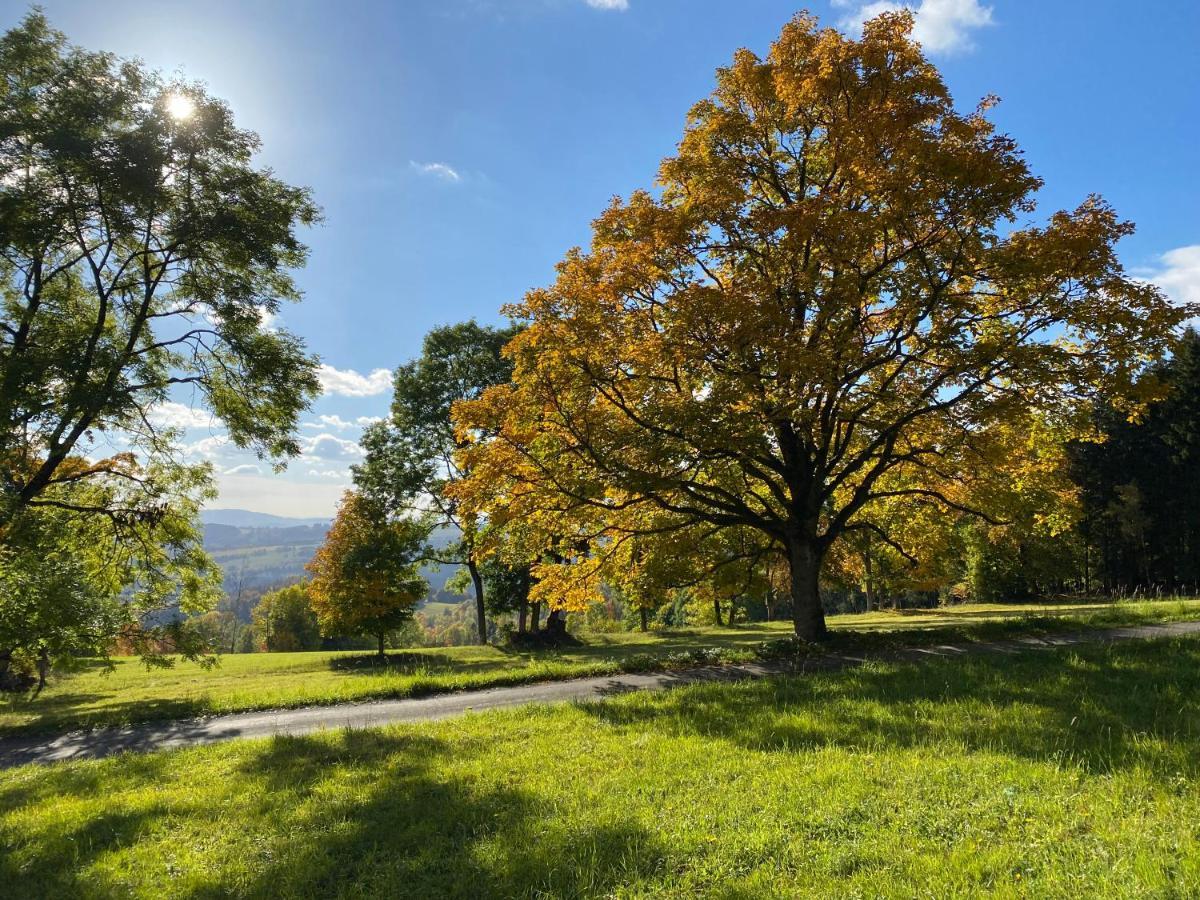 Apartmán Apartmán HYGGE Bratrouchov Jablonec nad Jizerou Exteriér fotografie